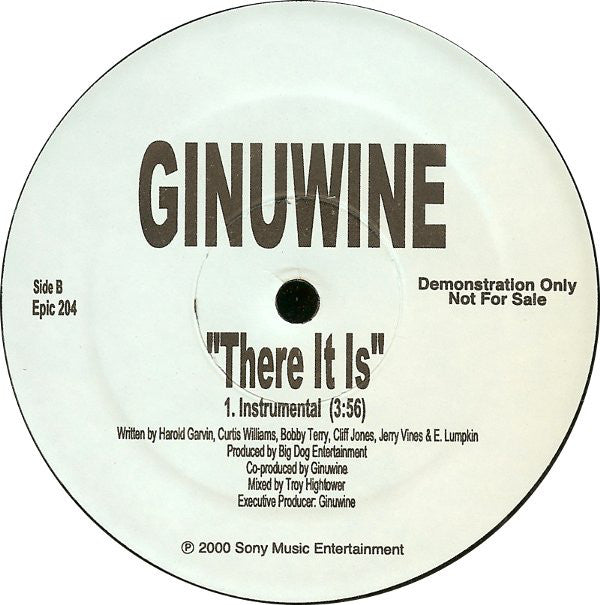 Ginuwine : There It Is (12", Promo)