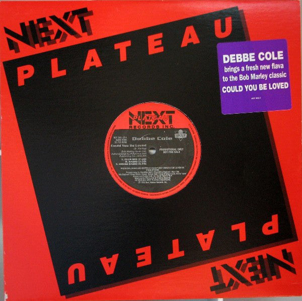 Debbe Cole : Could You Be Loved (12", Promo)