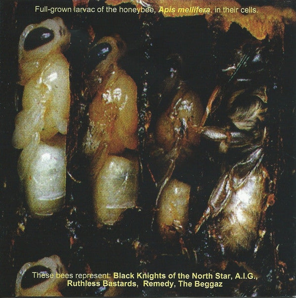 RZA Presents Wu-Tang Killa Bees : The Swarm (Volume 1) (CD, Album)