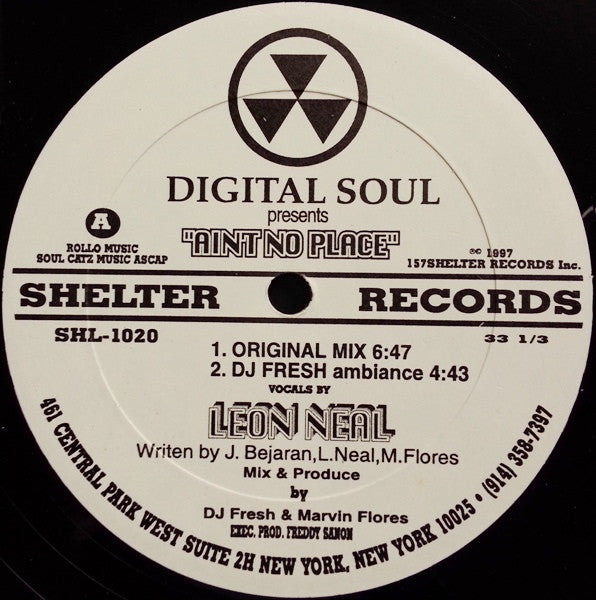 Digital Soul : Ain't No Place (12")