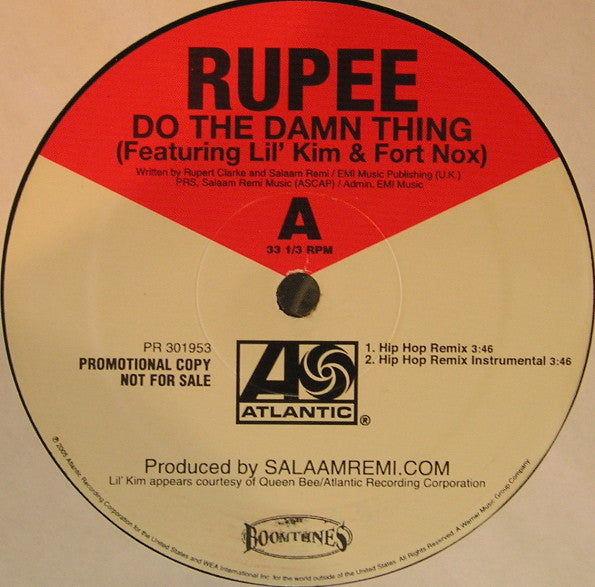 Rupee : Do The Damn Thing (12", Promo)