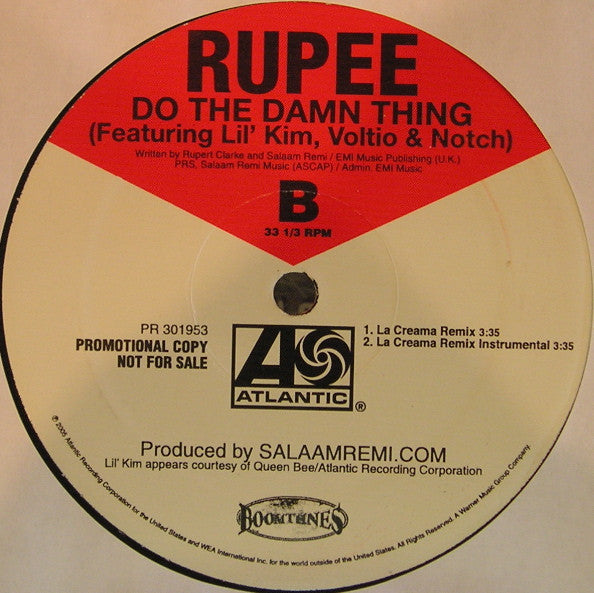 Rupee : Do The Damn Thing (12", Promo)