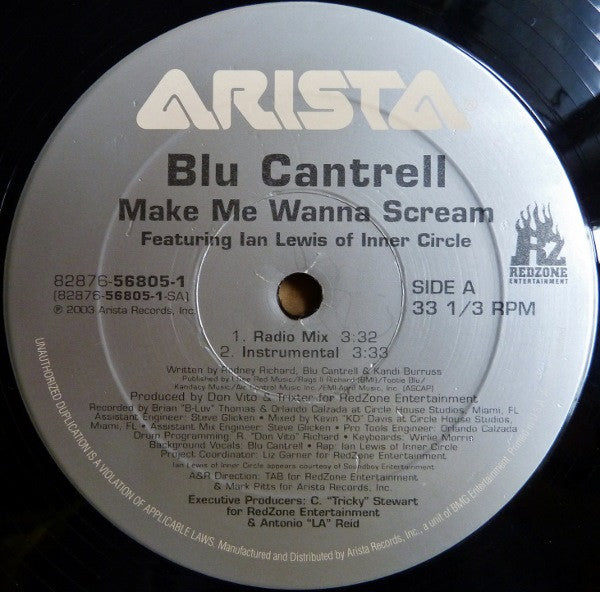 Blu Cantrell Featuring Ian Lewis : Make Me Wanna Scream (12")