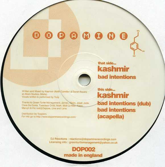 Kashmir : Bad Intentions (12")