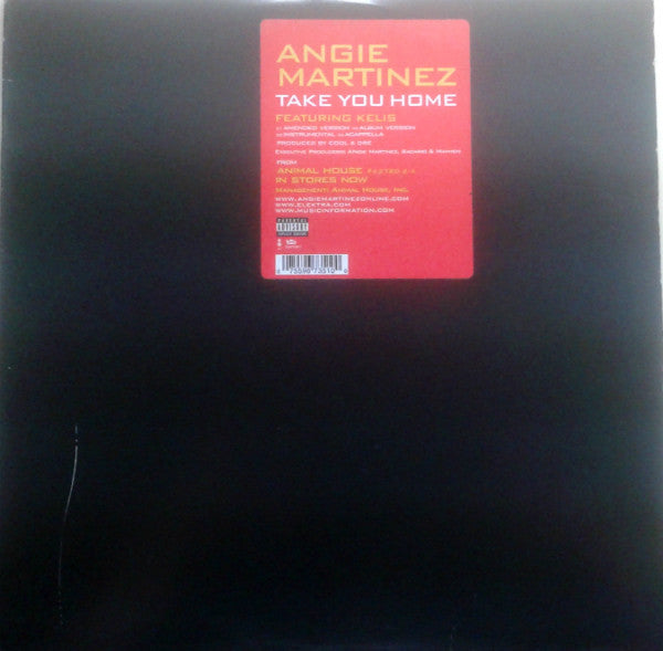 Angie Martinez : Take You Home (12")