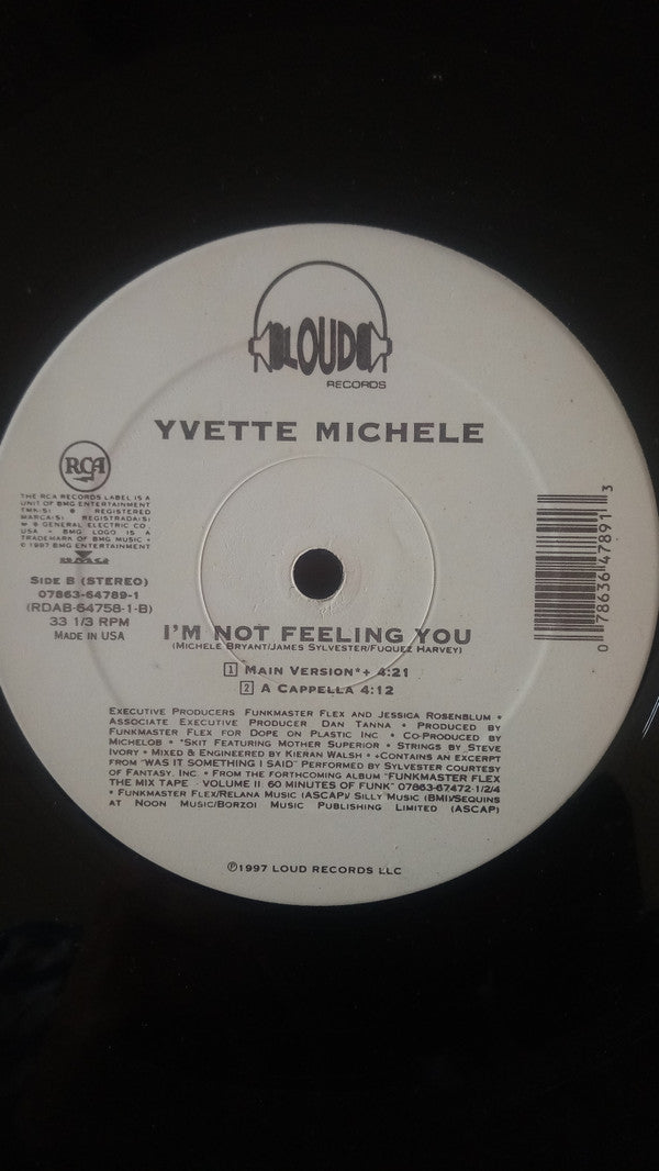 Yvette Michele : I'm Not Feeling You (12", Single)