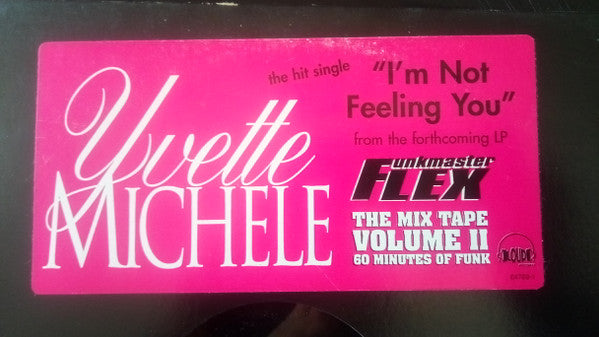 Yvette Michele : I'm Not Feeling You (12", Single)