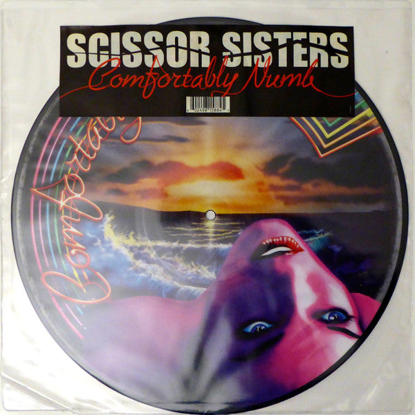 Scissor Sisters : Comfortably Numb (12", Pic)