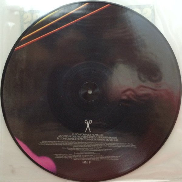 Scissor Sisters : Comfortably Numb (12", Pic)