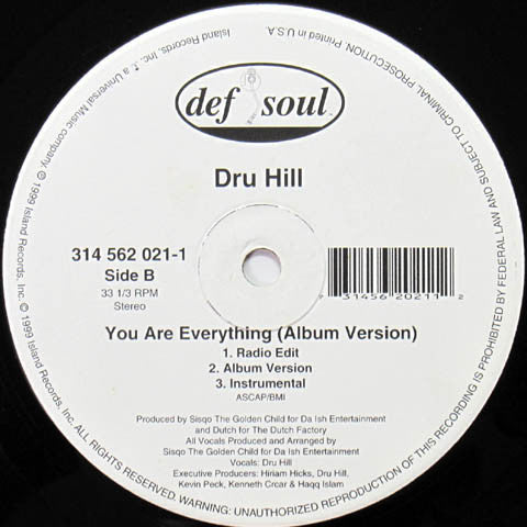 Dru Hill : You Are Everything (Remix) (12")