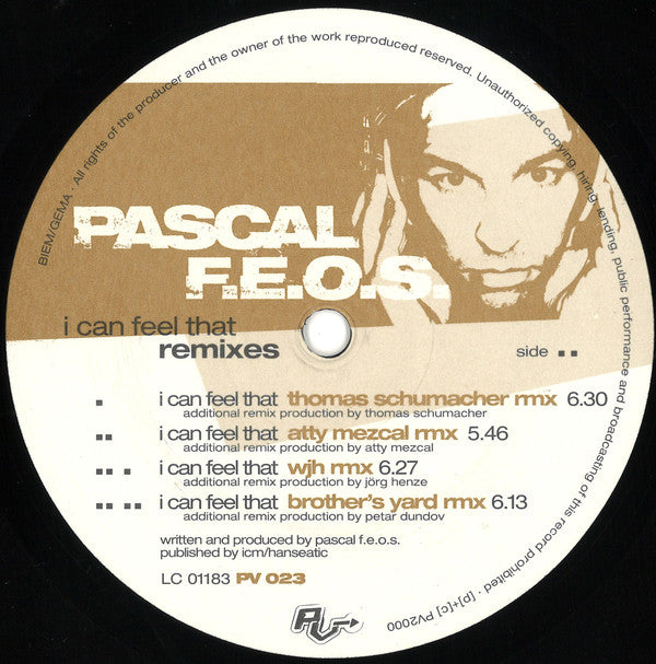 Pascal F.E.O.S. : I Can Feel That (Remixes) (12")