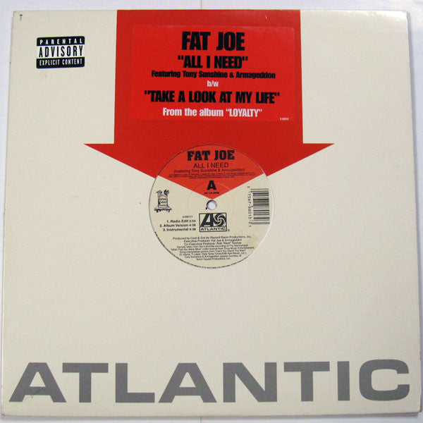 Fat Joe : All I Need / Take A Look At My Life (12")