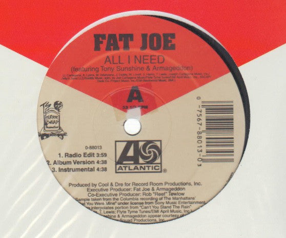 Fat Joe : All I Need / Take A Look At My Life (12")