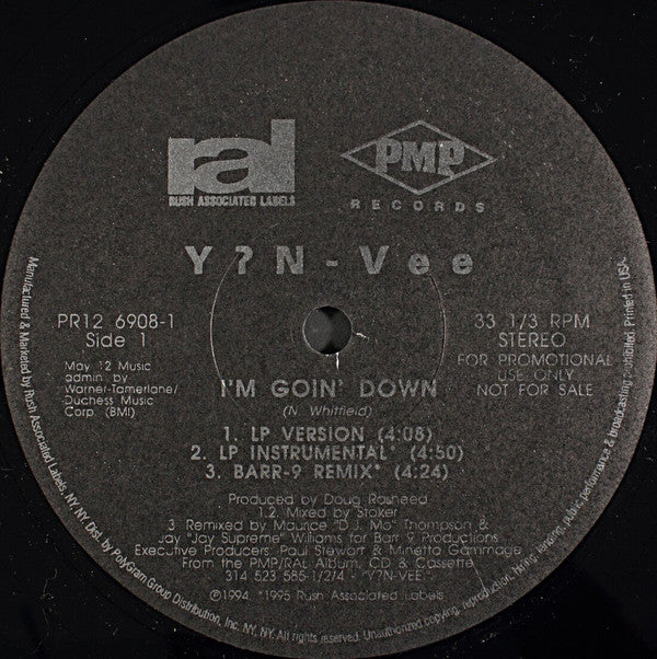 Y.N.V. : I'm Goin' Down (12", Promo)