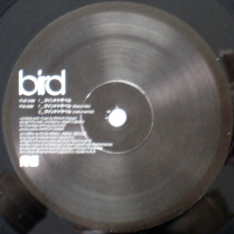 Bird : Mindtravel (12")