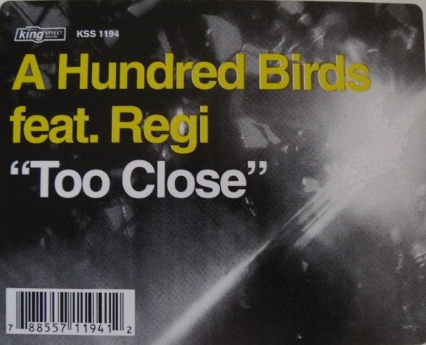 A Hundred Birds Featuring Regi (2) : Too Close (12")