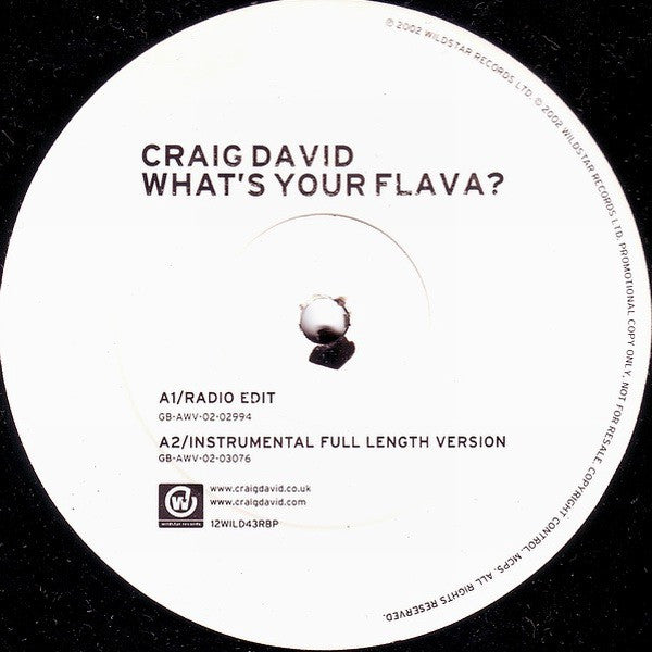 Craig David : What's Your Flava? (12", Promo)