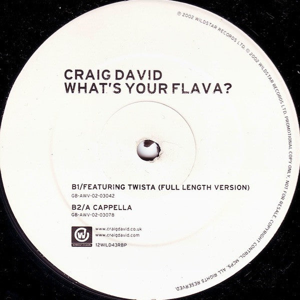 Craig David : What's Your Flava? (12", Promo)