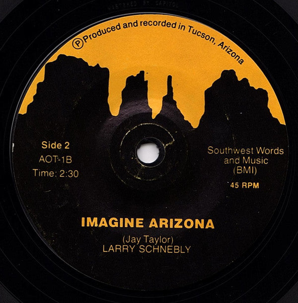 Lloyd Baron / Larry Schnebly : Arizona: Has Anybody Ever Seen It All? (7")