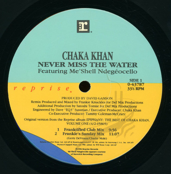 Chaka Khan Featuring Me'Shell NdegéOcello : Never Miss The Water (12")