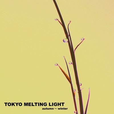 Various : Tokyo Melting Light: Autumn-winter (CD, Album, Comp)