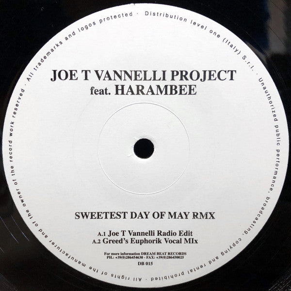 Joe T. Vannelli Project Feat. Harembee : Sweetest Day Of May (12")