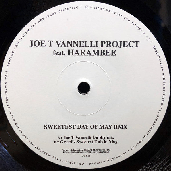 Joe T. Vannelli Project Feat. Harembee : Sweetest Day Of May (12")