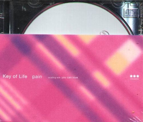 Key Of Life (2) : Pain (CD, Single)