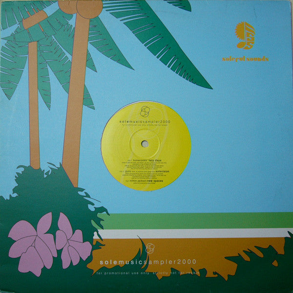 Various : Sole Music Sampler 2000 (12", Promo)