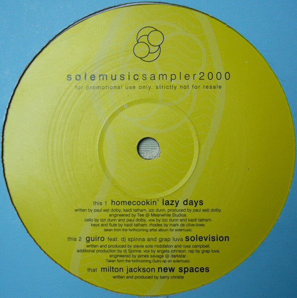 Various : Sole Music Sampler 2000 (12", Promo)