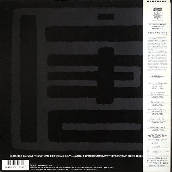 Winston Tong : Theoretically Chinese (LP, Album)