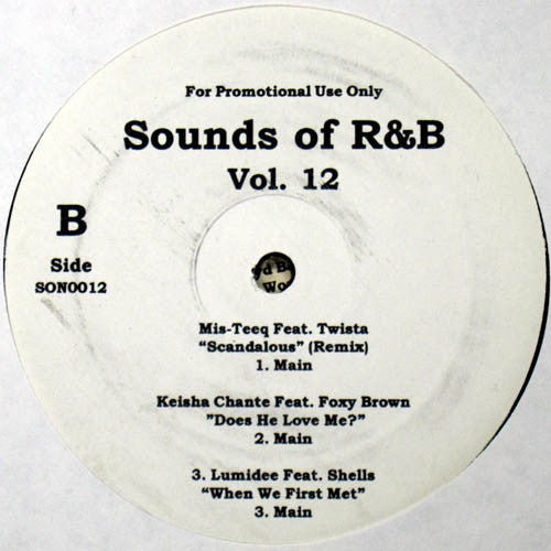 Various : Sounds Of R&B Vol. 12 (12", Promo, Unofficial)