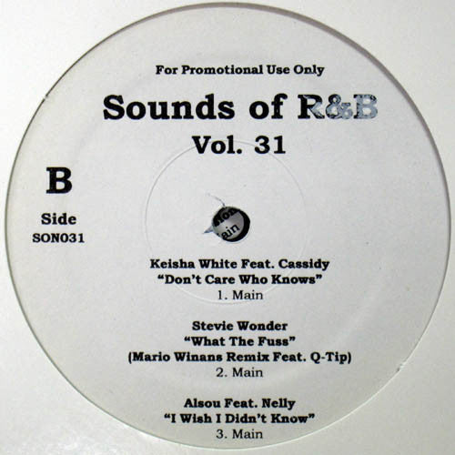 Various : Sounds Of R&B Vol. 31 (12", Promo, Unofficial)