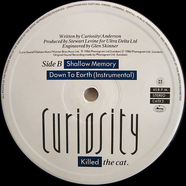 Curiosity Killed The Cat : Down To Earth (Extended Mix) (12", Single)