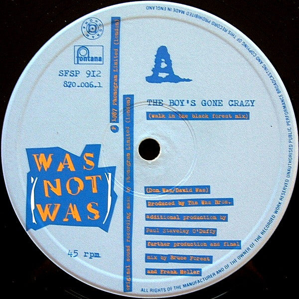 Was (Not Was) : The Boy's Gone Crazy (12")