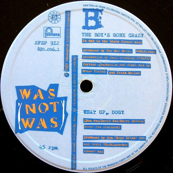 Was (Not Was) : The Boy's Gone Crazy (12")