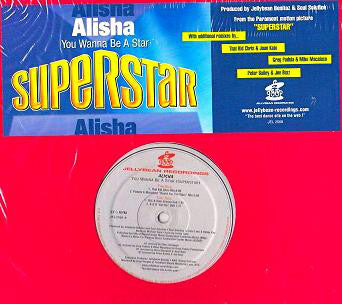 Alisha : You Wanna Be A Star (Superstar) (12")