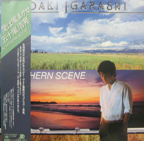 Hiroaki Igarashi : Northern Scene (LP, Album)