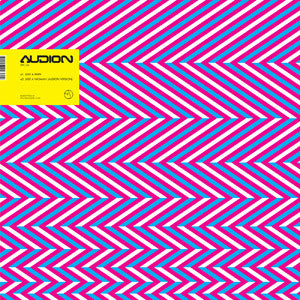 Audion / Ellen Allien : Just A Man / Just A Woman (12")