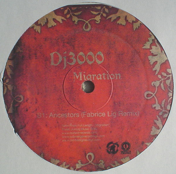 DJ 3000 : Migration (12")