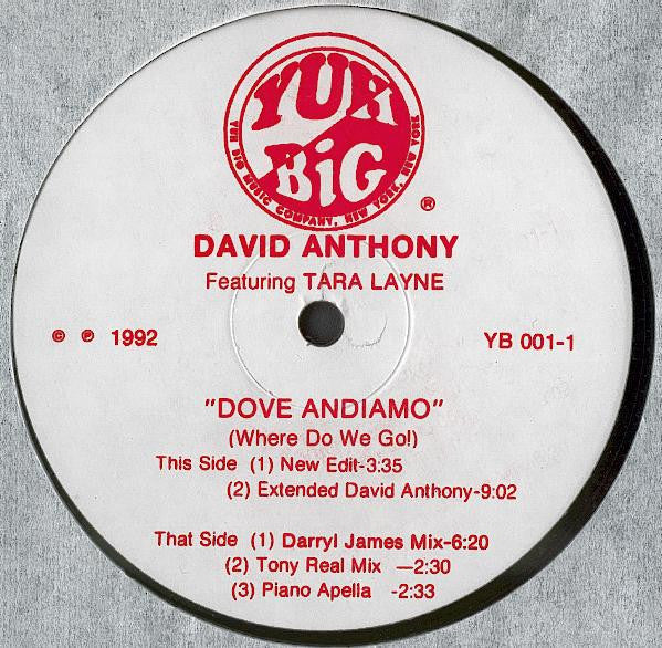 David Anthony Featuring Tara Layne : Dove Andiamo (Where Do We Go!) (12")