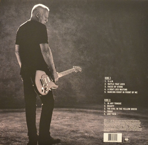 David Gilmour : Rattle That Lock (LP, Album)