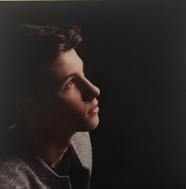 Shawn Mendes : Handwritten (LP, Album, Blu)