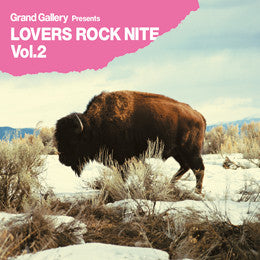 Various : Grand Gallery Presents: Lovers Rock Nite Vol.2 (CD, Comp)